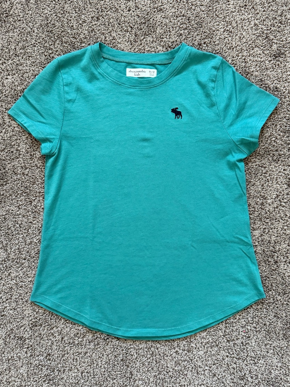 Abercrombie & Fitch Kids Teal Short Sleeve T-Shirt